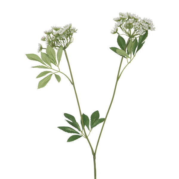 The Seasonal Aisle Cow Parsley Stem Wayfair.co.uk